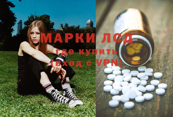 СК Аркадак